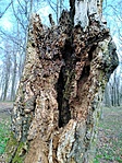 IMG_20210402_154150