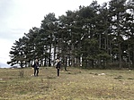 IMG_2043