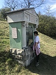 IMG_6791
