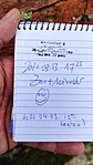 1617599100631