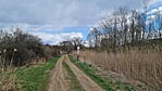2021-04-04 13.07.40R