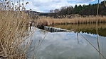2021-04-04 13.28.38R