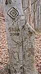 2021-04-17 12.52.43R