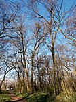 DSCN3678-001