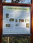 DSCN3679-001