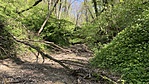 IMG_9437