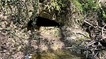 IMG_9440