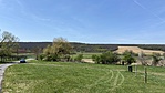 IMG_9454