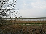 IMG_20210402_092817