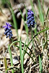 IMGP6756