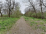 IMG_20210417_145312