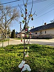 IMG_20210405_095125