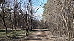 Erdő