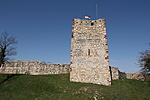 IMG_2509