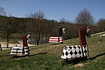 IMG_2513