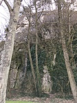 IMG_3443