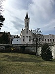 IMG_3421