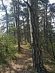 IMG_20210425_151748