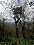 IMG_20210410_130839