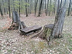 IMG_20210411_131912