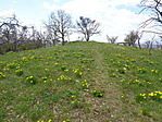 DSC00580