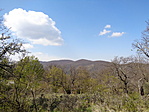 DSC00793