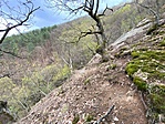 gcfbar-IMG_8026
