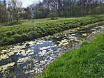 IMG_20210405_144443