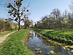 IMG_20210405_144445