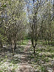 IMG_20210405_144956