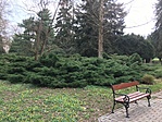 IMG_4629