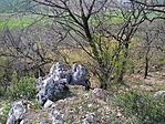 IMG_20210410_161401