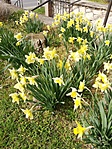 IMG_20210328_121027