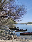 IMG_20210409_153646.jpg
