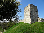 DSC04710