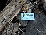 IMG_20210405_152832