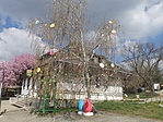 IMG_20210404_113244