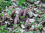 J14_1220