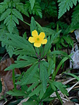 J14_1229