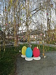 IMG_20210405_183653