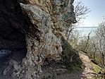 IMG_20210405_113956