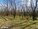 IMG_20210408_153205