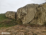 IMG_20210415_133133