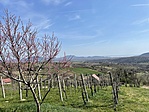 IMG_2432