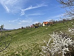 IMG_2434