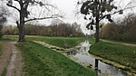 IMG_20210411_154325