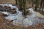 IMG_3569