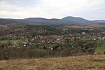 IMG_3590