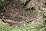 légifelvétel