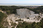 IMG_4131